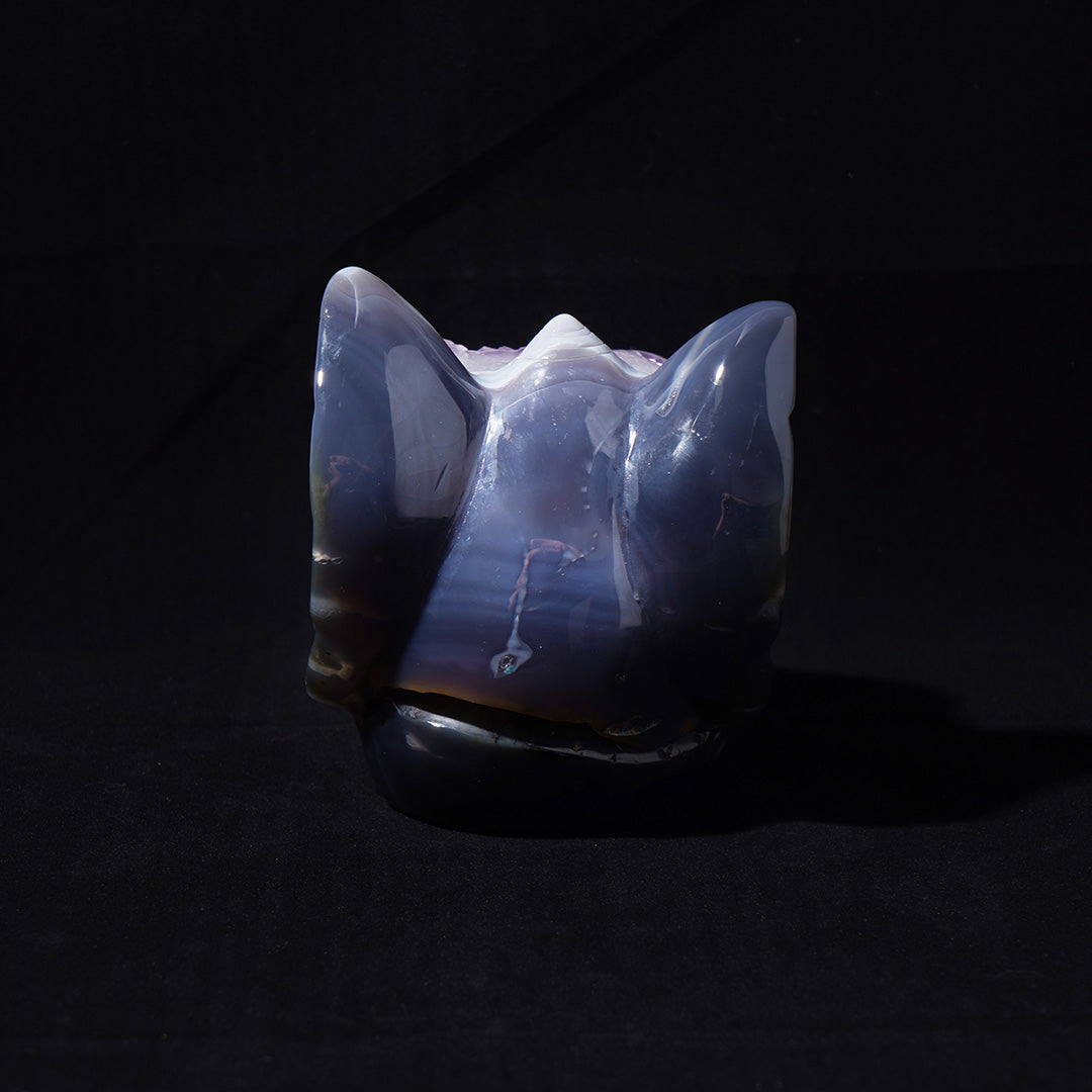 Druzy Agate Cat Ears Skull