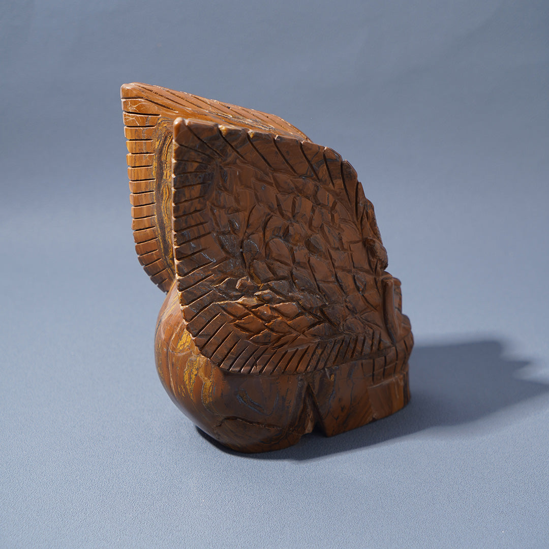 Preorder Tiger eye skull